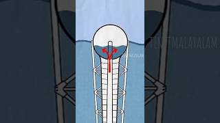 The Ocean’s Hidden Power Revealed | The Hidden Power of the Ocean | Anoop Benny