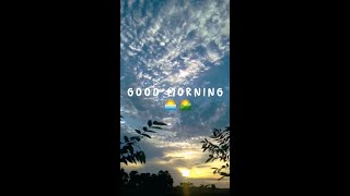 Good morning 🌅|status video|#nature #shorts