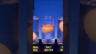 sigma the physics teacher experiment #sigma #physics #trending #teacher #ytshorts #ytshorts#einstein