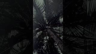 Can you hear the sound of rain? #rain #rainsounds #monsoon #soundofrain