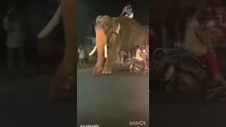 #short women hits elephant 🐘 with bike