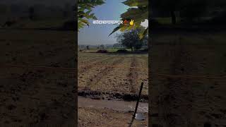 #बागादारshetkari  🌶️🌶️