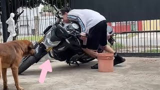 Fails That Came Outta Nowhere