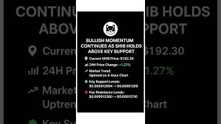 shiba inu price today