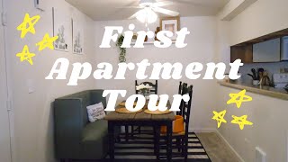 How I styled my first apartment