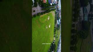 Searching for DRONE full day, finally found it!!! #dronedji #drone #reels #shorts