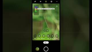 Ultra Macro Mobile🐝 Photography #shorts #youtubeshorts
