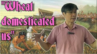 Why Farming was a Terrible Deal for Humans - Prof. Jiang Xueqin