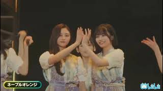 乃木坂46 - ネーブルオレンジ (Navel Orange)