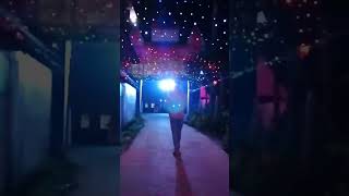 পাখীরা বুঝি মাই'নে পাই........!