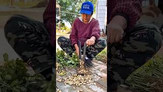 Agriculture Farming #farming #newtechnologyideas #agriculturelife #agriculture machines