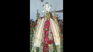Anajpur Muharram- July2023(5)||అనాజ్‌పూర్ ముహర్రం||RamojiFilmCity||Muharram||Anajpur||పీర్ల పండుగ