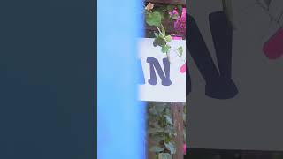 The Entrepreneur Chat Room  with CEO of Native Arena #Entrepreneurship #ChatRoom #businessnewstoday