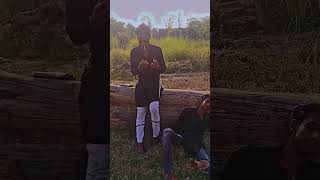 BGM (Attitude)
