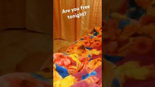 Leave me alone,are you free tonight? #shortvideos #adult #adultvideo #foryoupage #ugurl #fyp #shorts