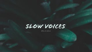 SLOW VOICES | ABSHLOM ARNOLD