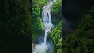 Listen to Nature #waterfalls #waterfall #nature #relaxation #forest #viralshorts #calm #bali #india