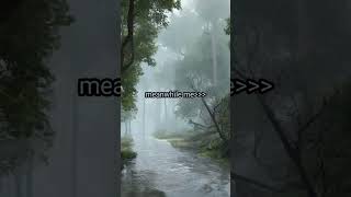 others favourite season vs mine #relatable #season #weather #autumn #tranquilitytime