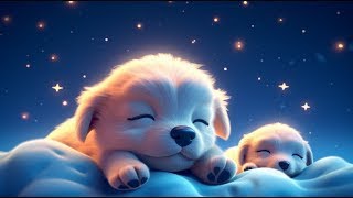 すばやく眠りにつく - 不眠症の緩和、ストレス軽減、不安とうつ病の癒し