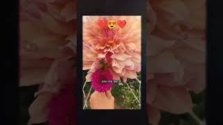 "💔 ये दिल भी कमाल का होता है | Emotional Love Quote ❤️" #arham