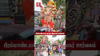 🤩உற்சாகமாக நடந்த விநாயகர் ஊர்வலம்🤗 | Vinayagar Chaturti