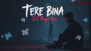 Tere Bina | Dil Roya Hai 💔 Emotional Heartbreak bollywood song