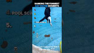 Ranking The Funniest Cat Water Moments