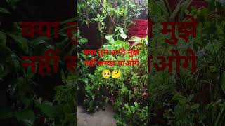 #shorts#short#dailylife9749 #shortpants #ytshorts2025