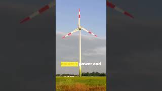 Apocalypse Power: DIY Energy Survival#aiquestions #aireflections #aisurvival