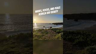 Bodega Bay Beauty- Waves, Rocks, Sun, and Peace #bodegabay #beach #ocean #peace #positivevibes #love