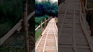 Beautiful Bamboo bridge ♥️#sopnojabebari#shorts