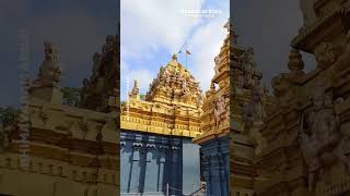 పాలకొల్లు క్షీరరామలింగేశ్వర స్వామి వారి దేవాలయం... 🙏 #food #bhimavaram #bhimavaramabbai
