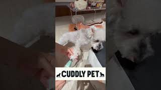 Wasting $ on 5 Tools? This $XX Clipper Does Everything (IPX7 Washable)  #doggroomingtips