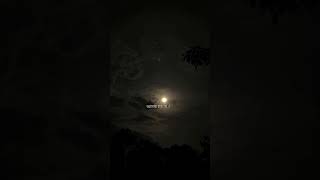 Alo Alo - আলো আলো | #viralshorts #sad #sadsong