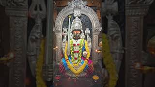 kaali amma #kalimaa #kaali #amman #goddess #devotional #spirituality #strong #removedarkness