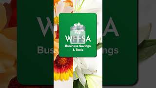 Wholesalers: Grow Your Business with WFFSA