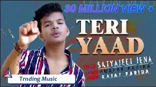 Teri yaad full song styajeet jena new Letest Love song (#Letestnewsong)(#newsonghindi2021)Aniket ku
