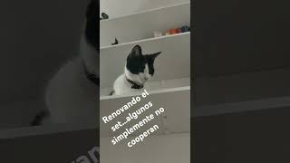 Estamos en pre producción para el nuevo video...pero Raava no coopera