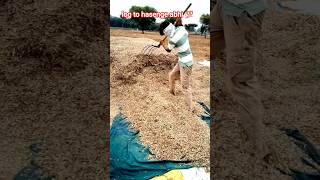 Work Hard For Your Dreams (But Not Like This...)
