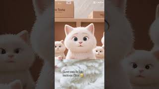 #cat #daily #cute #kitten