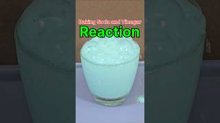 Baking Soda and Vinegar Reaction ❤️ Simple Experiment for Students #experiment  #shorts #ytshorts