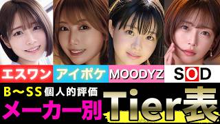 紳士向けメーカーでTier表を作ってみた【10社比較】