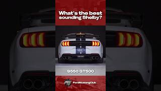 Shelby GT350 vs Shelby GT500! 🏎️