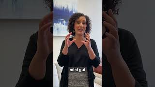 Personalized Medicine in Cancer Therapy