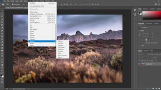 Enable Oil Paint Filter in Photoshop