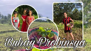 NAMITAS NG TALONG AT SILI WITH THE KIDDOS || BUHAY PROBINSYA|| FIRST VLOG FOR 2022