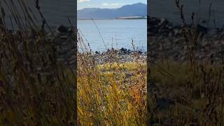 Summer Evening by the Lake Ferry, NZ #LakeFerry #GoldenHourMagic #camping  #NZ #wellington #summer