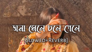 Dana mele chole gele [slowed+reverb] - bengal lofi song | lofi mix song | 10 PM BENGALI LOFI