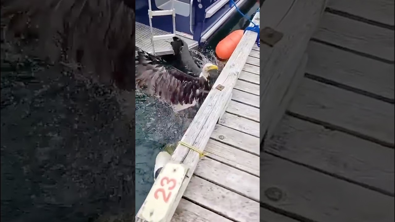 サムネ
