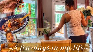 getting it all done working 7 days a week | working out | slow cooker meal | grocery haul + more